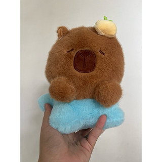 thú bông capybara sao