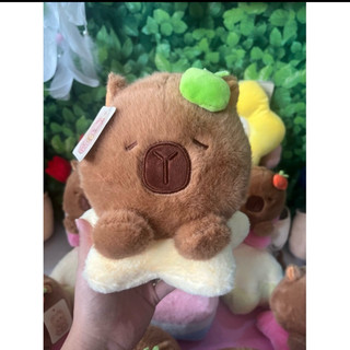 thú bông capybara sao