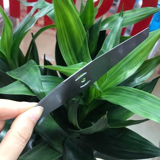 Lưỡi cắt cỏ chạy pin dành cho máy hiệu LT