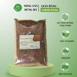 Gạo lứt đỏ dẻo - Gạo lứt huyết rồng Phúc Thọ - Nấu cơm, xôi dinh dưỡng