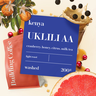 Kenya uklili aa - cà phê kenya kiambu - building coffee
