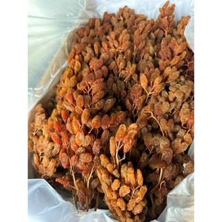 500g Nho Khô Úc rời từ cành, dòng nho rời Thompson, nho không đường, ngọt tự nhiên
