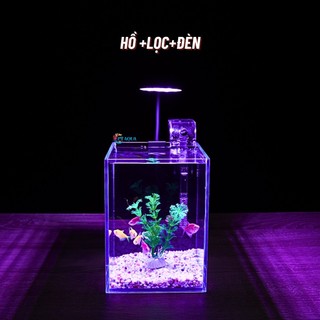 Bể cá mini pt aqua 15x15x20cm kính 5ly phù hợp nuôi cá mini để bàn hoặc làm bể thuỷ sinh mini để bàn