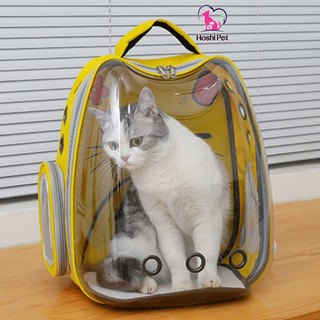 Balo phi hành gia chó mèo Hoshi Pet BL04 trong suốt họa tiết mèo dễ thương