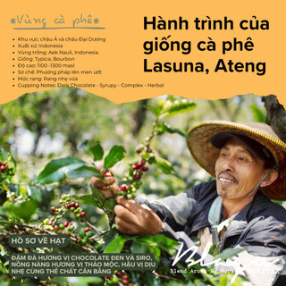 Cà Phê Blagu Đã Hạt Rang, Indonesia Sumatra, Medium Roast, 250g