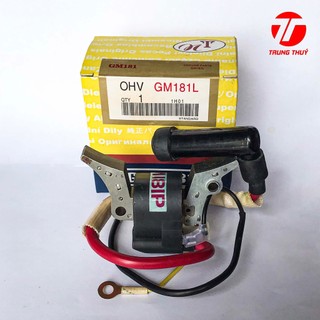 IC đánh lửa cho VANGUARD hàng loại tốt NT