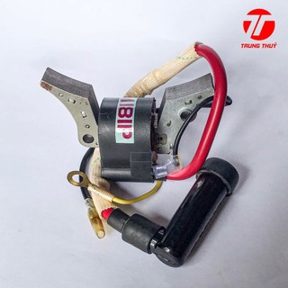IC đánh lửa cho VANGUARD hàng loại tốt NT