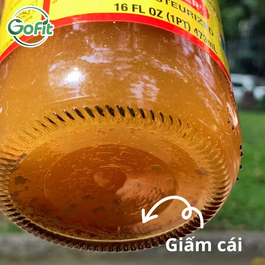 Giấm Táo Hữu Cơ Bragg Organic Của Mỹ Có Giấm Cái 473ml, 946ml - Dấm Táo Giảm Cân Gofit Mart