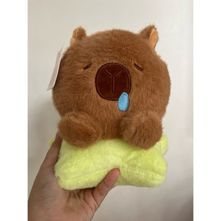 thú bông capybara sao