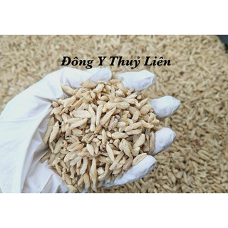 Mạch Môn Bắc (mạch môn đông) loại 1 [500g]