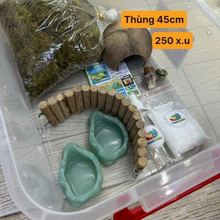 Combo nuôi ốc mượn hồn cơ bản thùng 45cm gồm những phụ kiện như ảnh