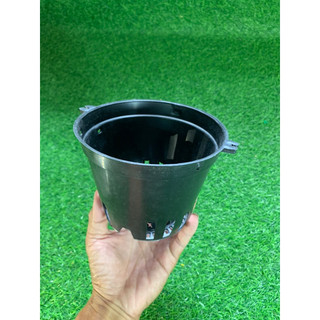 CHẬU NHỰA TRỒNG LAN PHI 14 (SET 10 CÁI)