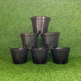 CHẬU NHỰA TRỒNG LAN PHI 14 (SET 10 CÁI)