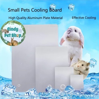 Tấm tản nhiệt lạnh mát mẻ cho Hamster, Thỏ, Bọ, Sóc, Nhím, DB Rat, Gerbil...