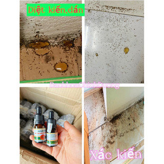 Diệt kiến,gián sinh học ANBIO : diệt tận gốc các loại kiến và gián lọ 10ml