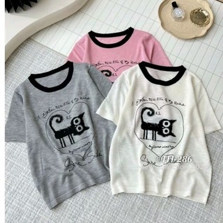 Áo len mèo viền cổ hàng QC
