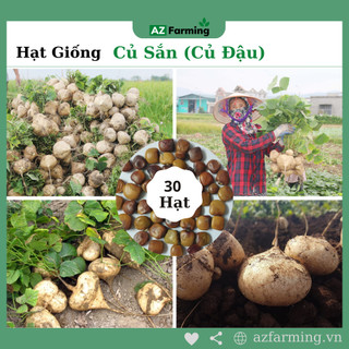 Hạt giống củ sắn - gói 30 hạt - az farming