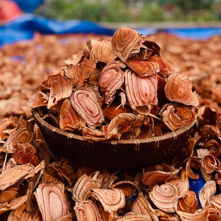 Cỏ máu bổ huyết, hỗ trợ tăng cân, ngủ ngon