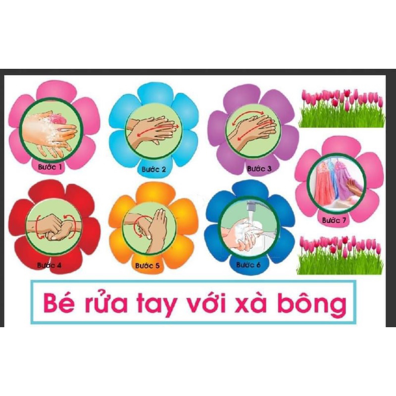 tranh decal động vật biển nhà vệ sinh, 6 bước rửa tay