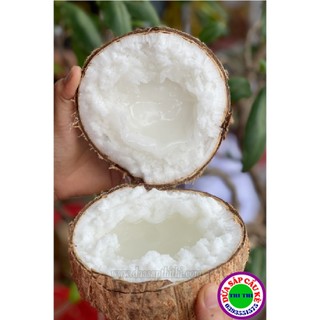 DỪA SÁP LOẠI 1 ĐẶC RUỘT