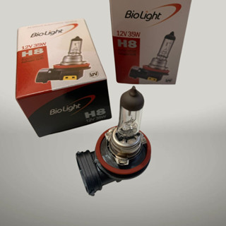 Bóng Đèn H8-12V/55W, Bóng Đèn Gầm, Bóng Đèn Cản Trước Xe Hyundai Grand i10, i20, i30, Starex,....Hàng Biolight Hàn Quốc.