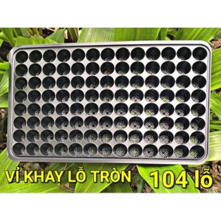  COMBO 10 - 20 - 30 & 50 KHAY VỈ 104 LỖ ƯƠM HẠT GIỐNG TTK   NHỰA PET  