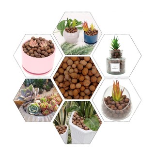 ĐẤT SÉT NUNG POPPER THÁI LAN