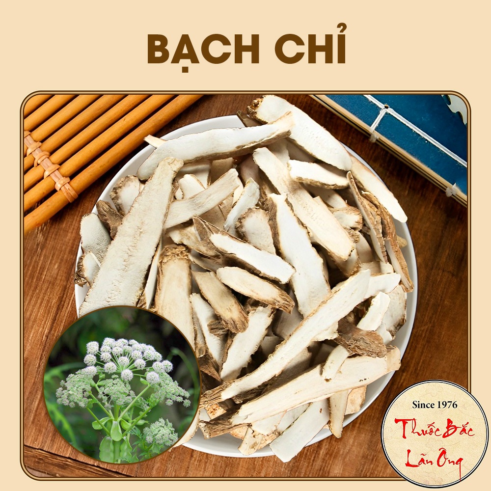 Bạch chỉ 100g, khô, thái lát mỏng, trắng, thơm, không tẩy trắng - Lãn Ông