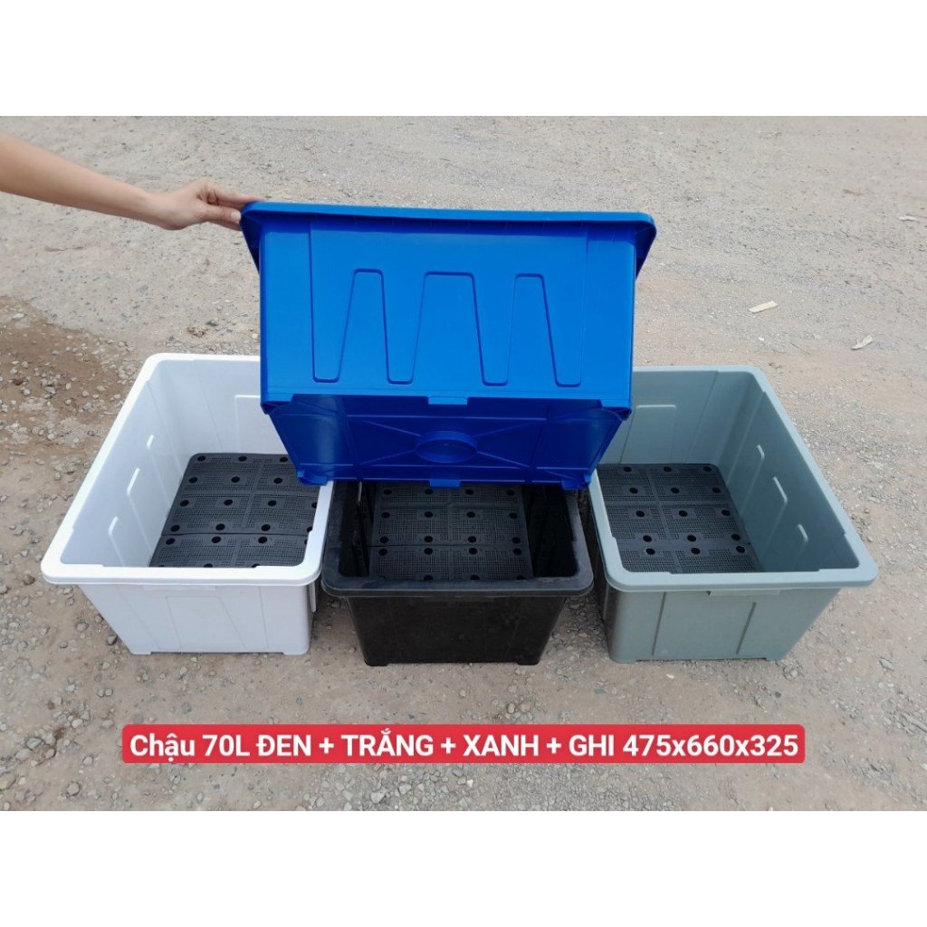 Khay trồng rau Aquaponics 70 lít