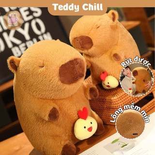  Gấu Bông Capybara Gà Con Teddychill Chuột Lang Nước Capybara Gà Con Kéo Được Đáng Yêu Nghộ Nghĩnh 