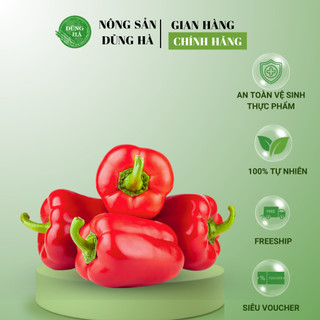 [HÀNG CHUẨN ĐÀ LẠT] ỚT CHUÔNG ĐỎ tươi, giòn, chế biến nhiều món ngon