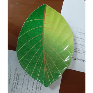 Dĩa Hột Xoài Lá 22.5cm
