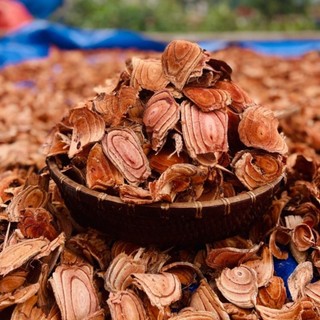 Cây cỏ máu , 1kg cỏ máu rừng giá