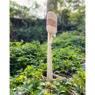 CÂY CHÀ LƯNG BẰNG XƠ MƯỚP VI LÂM tẩy tế bào chết tuần hoàn máu giảm mụn lưng (LOOFAR BACK BRUSH)