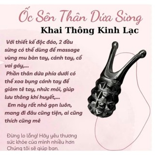 Ốc sên thân dứa bằng sừng dụng cụ massage vai cổ gáy