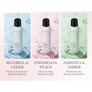 Xịt gội khô giúp phồng chân tóc VERDANT PARK 200ml