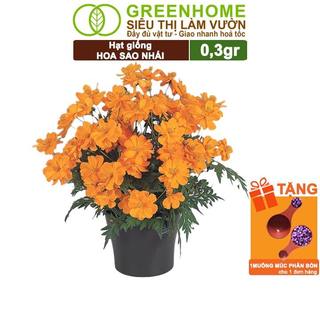 Hạt Giống Hoa Sao Nhái Mix Greenhome, Gói 0,3gr, Sai Hoa, Màu Rực Rỡ, Dễ Trồng Quanh Năm H13