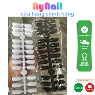 Móng tập sơn, Móng Mẫu Tập Vẽ, móng bẻ tròn luyện vẽ trưng bày móng