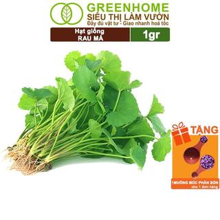 Hạt Giống Rau Má Greenhome, Gói 0.1gr, Dễ Trồng, Nảy Mầm Cao, Thu Hoạch Nhanh, Năng Suất Cao R12