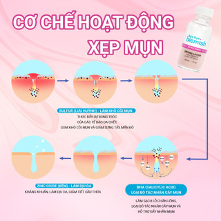 Lotion Chấm Mụn Bye Bye Blemish Drying Lotion