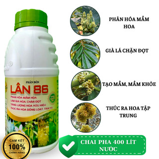 Siêu lân 86 chuyên tạo mầm phân hóa mầm hoa ra hoa đồng loạt - chai 500ml