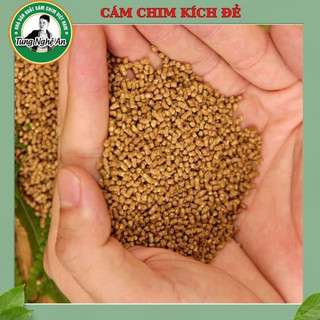 Cám kích đẻ chim chào mào ( Cám chim Đẻ - cám chim sinh sản )