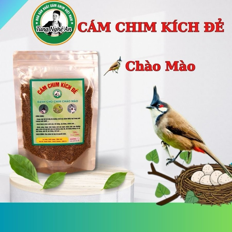 Cám kích đẻ chim chào mào ( Cám chim Đẻ - cám chim sinh sản )