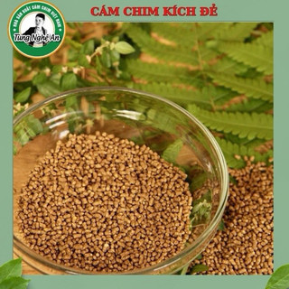Cám kích đẻ chim chào mào ( Cám chim Đẻ - cám chim sinh sản )