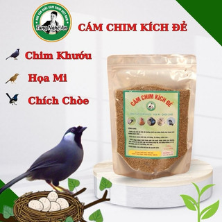 Cám kích đẻ - khướu - Họa mi - chích chòe