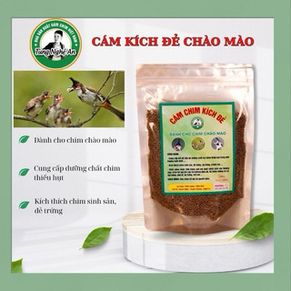 Cám kích đẻ chim chào mào ( Cám chim Đẻ - cám chim sinh sản )