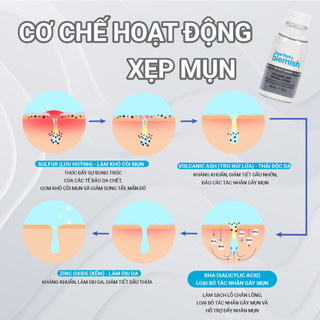Lotion Chấm Mụn Bye Bye Blemish Volcanic Ash Drying Lotion