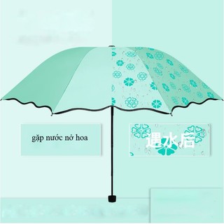 Ô dù cao cấp gặp nước nở hoa, ô dù gấp gọn nhiều màu sắc