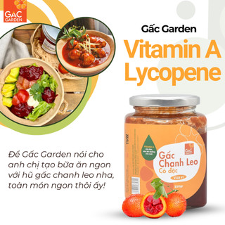 Combo 2 Hũ Gấc chanh leo đường phèn cô đặc dạng mứt vừa vị Gấc Garden giúp bổ mắt, da mịn sáng đẹp hũ 550g