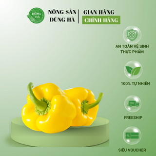 ỚT CHUÔNG VÀNG ĐÀ LẠT sản phẩm sạch, vừa ngon vừa nhiều dinh dưỡng